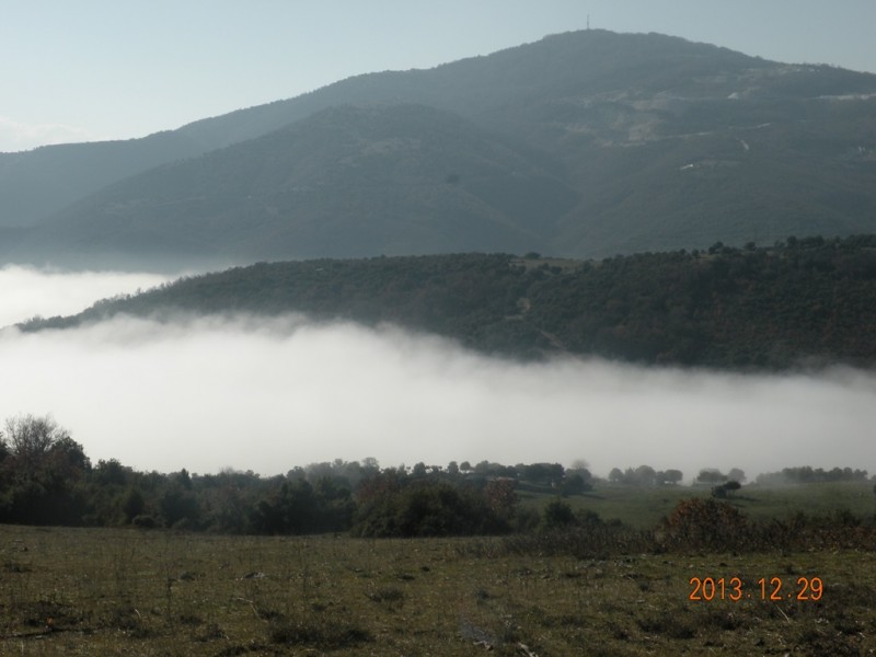 DSCN8929v.jpg