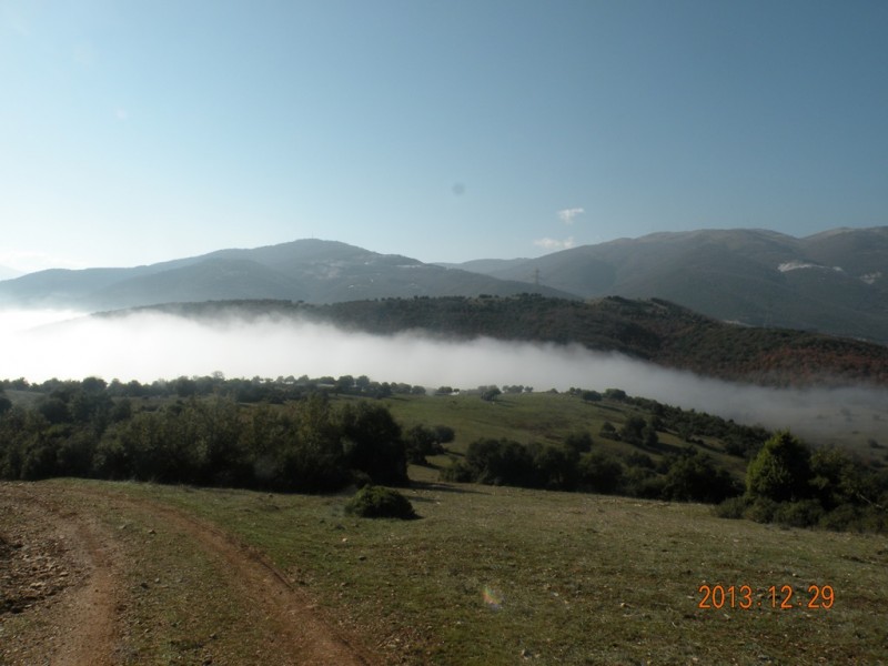 DSCN8931v.jpg