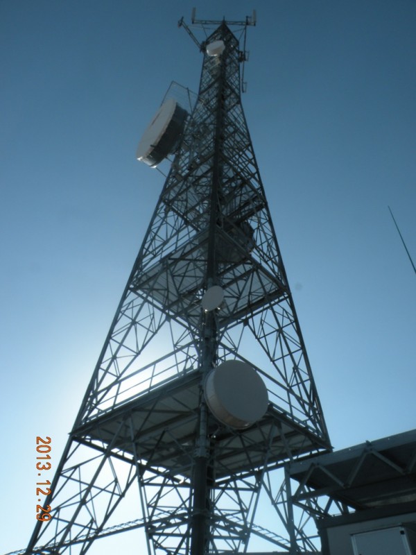DSCN8936v.jpg