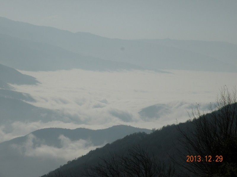 DSCN8949v.jpg