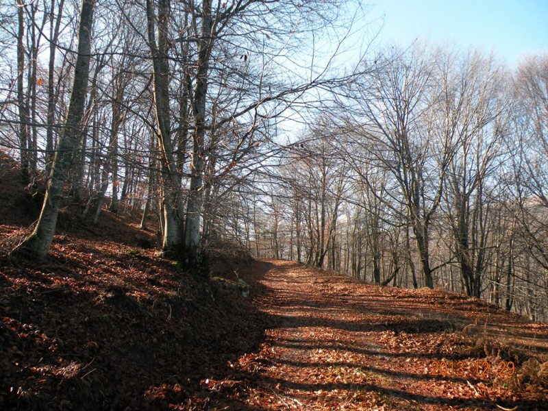DSCN8953v.jpg