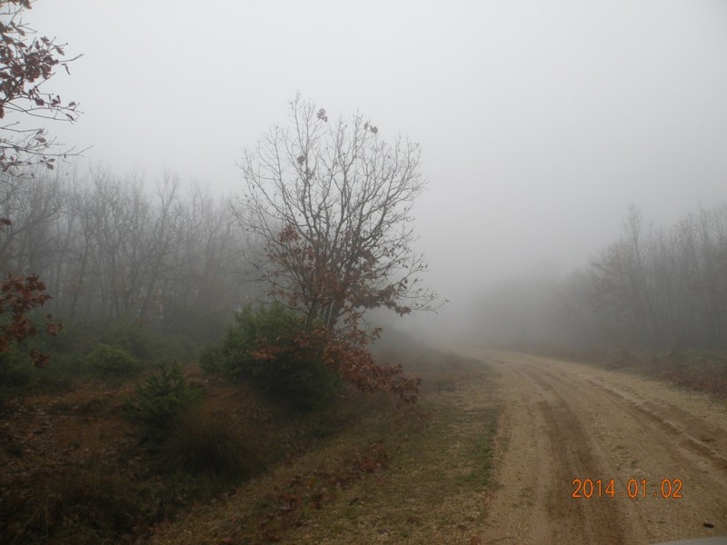 DSCN9014v.jpg