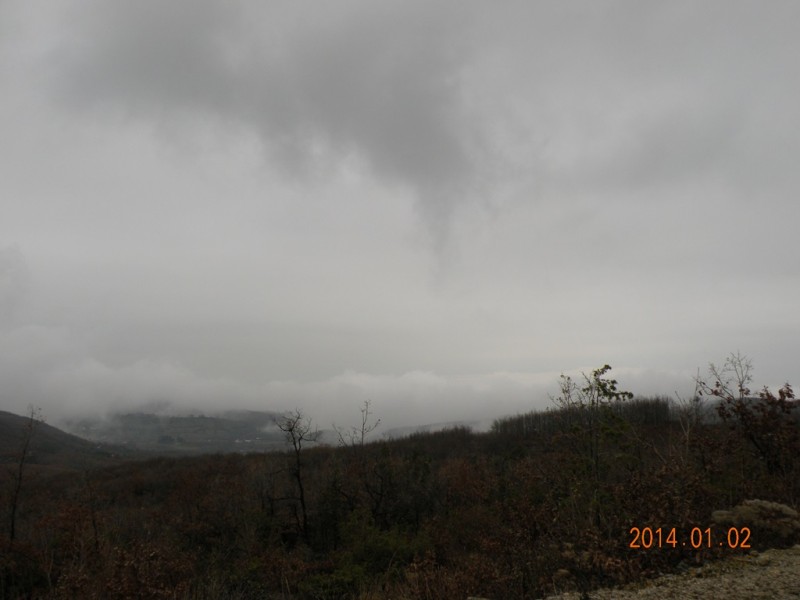 DSCN9020v.jpg