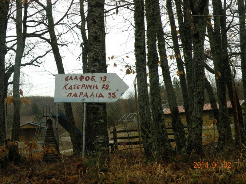 DSCN9021v.jpg