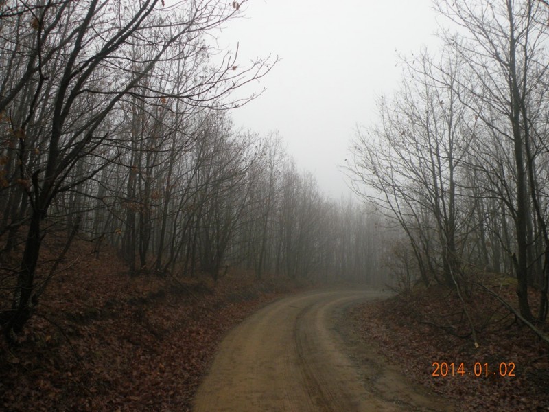 DSCN9029v.jpg