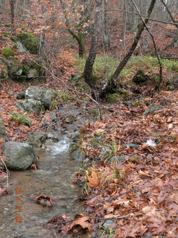 DSCN9033v.jpg