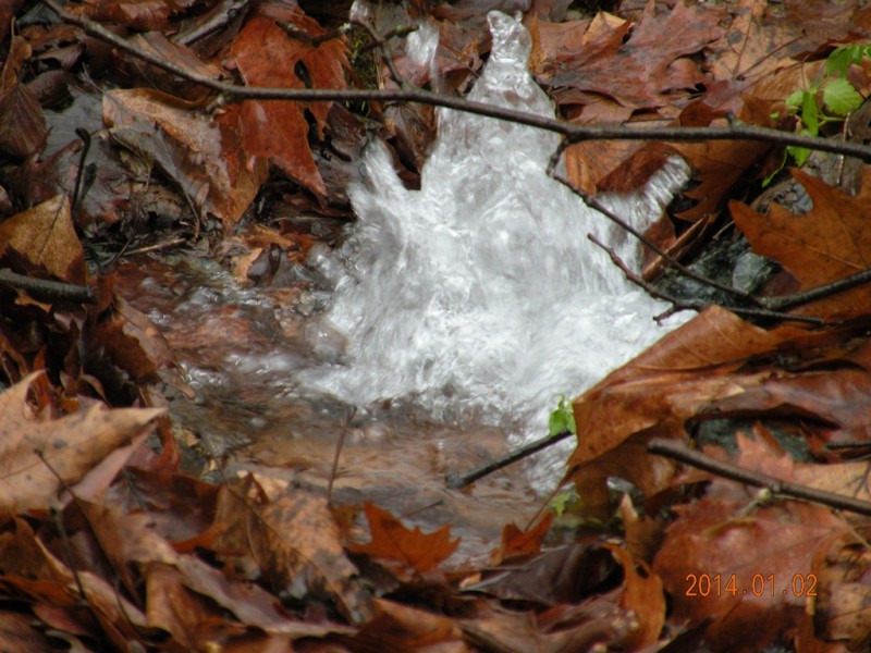 DSCN9031v.jpg