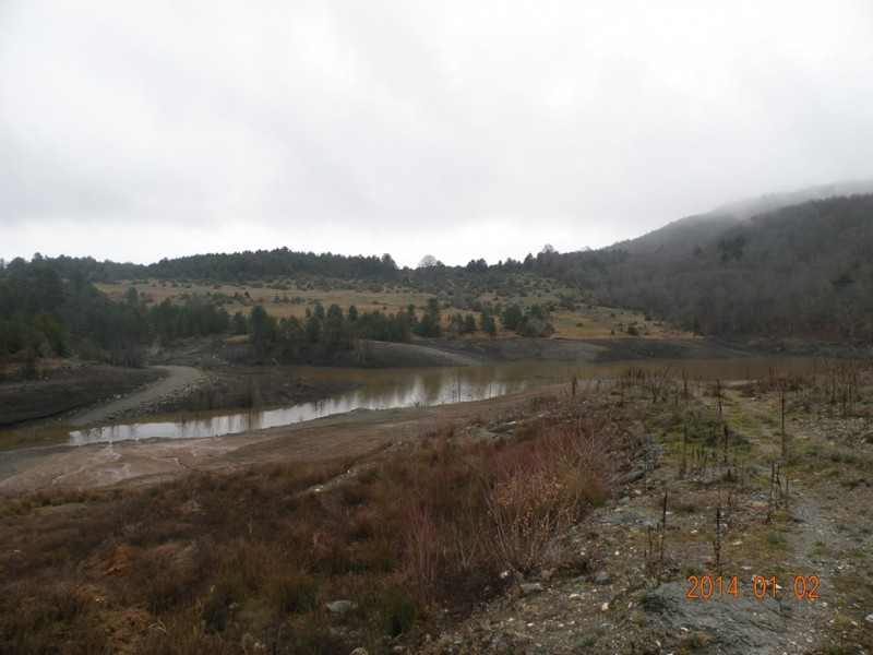 DSCN9035v.jpg