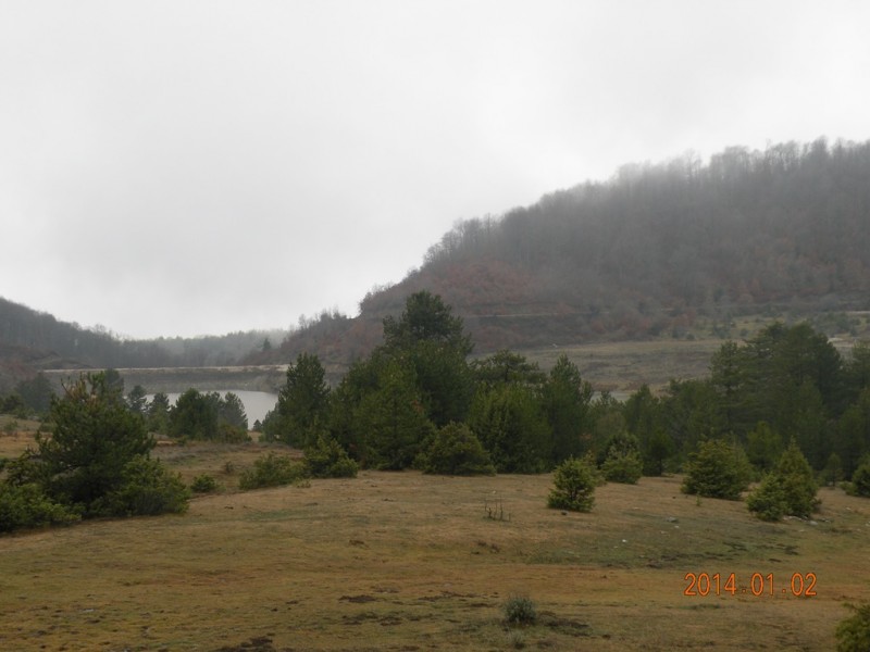 DSCN9041v.jpg