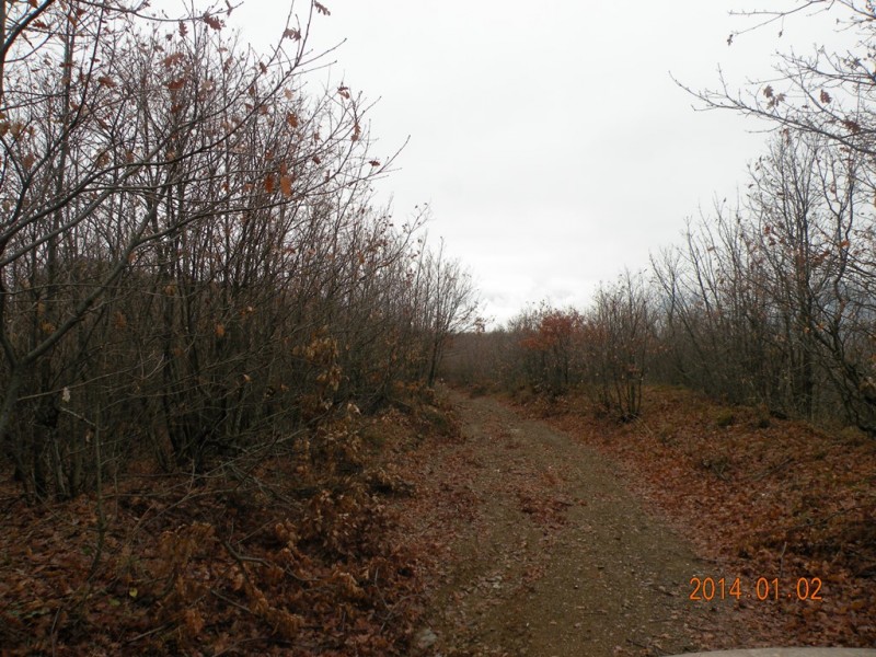 DSCN9042v.jpg