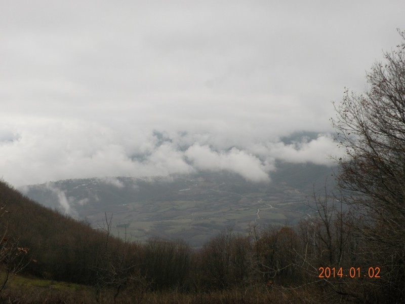DSCN9044v.jpg