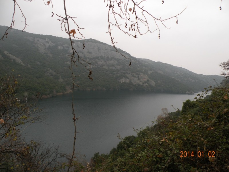 DSCN9051v.jpg