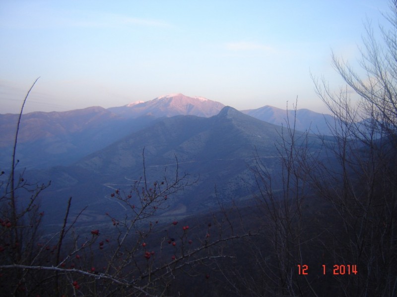 DSC04684 (1152 x 864).jpg