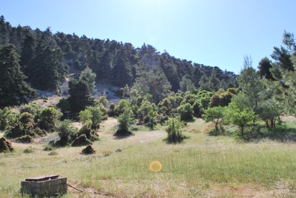 DSC_1582.jpg