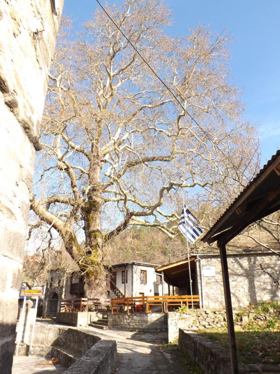 DSCF1396_576x768.jpg