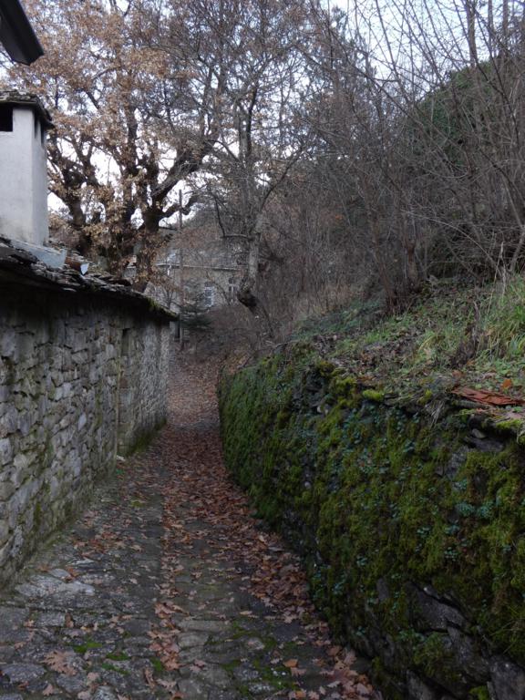 DSCF1423_576x768.jpg