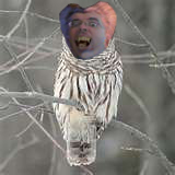 sialowl.jpg