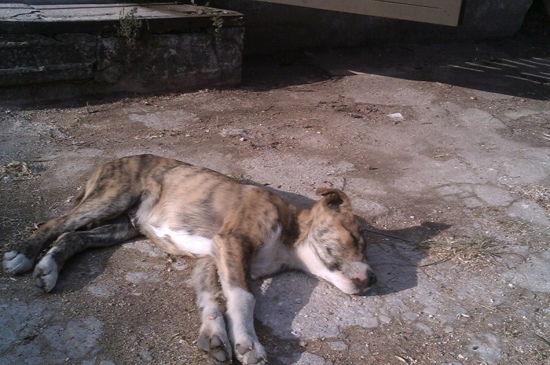 IMAG0246.jpg
