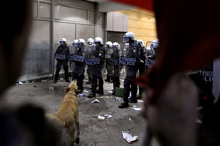 Athen_Demonstrationshund_1.jpg