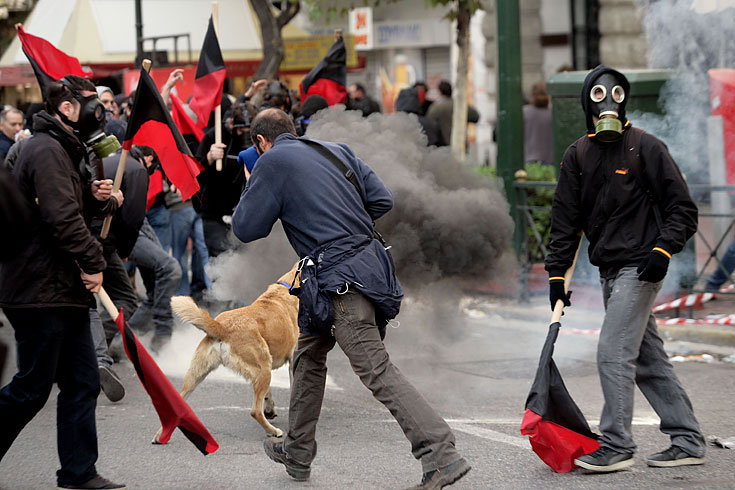 Athen_Demonstrationshund_6.jpg
