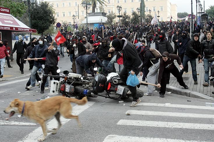 Athen_Demonstrationshund_7.jpg
