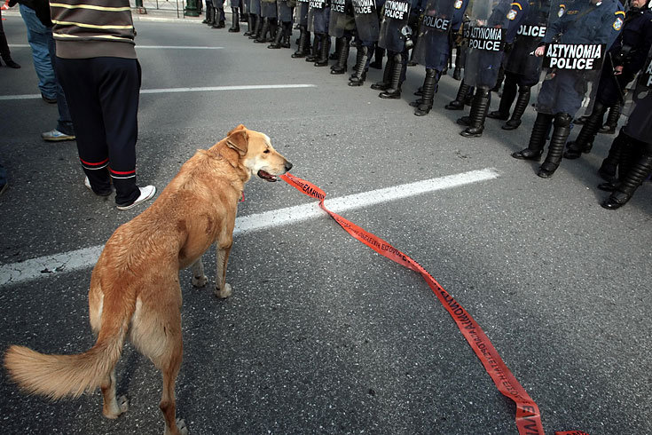 Athen_Demonstrationshund_8.jpg