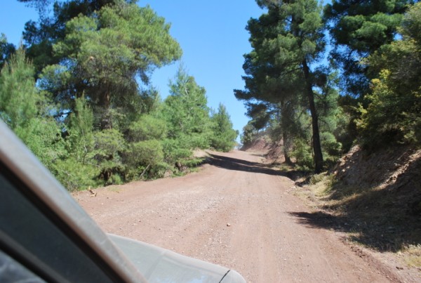 DSC_1502.jpg