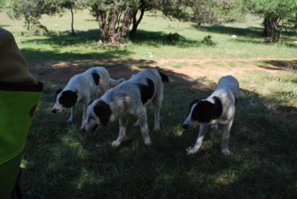 DSC_1556.jpg