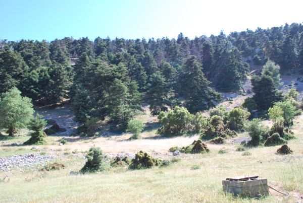 DSC_1581.jpg