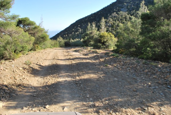 DSC_1611.jpg