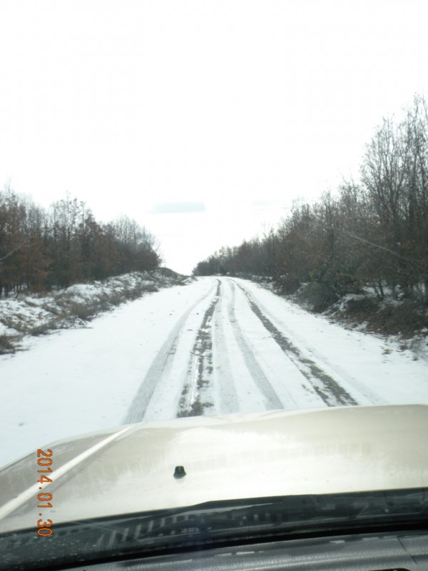 DSCN9341v.jpg