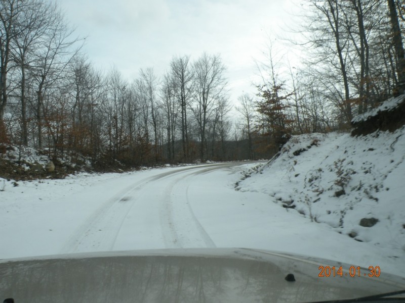 DSCN9342v.jpg