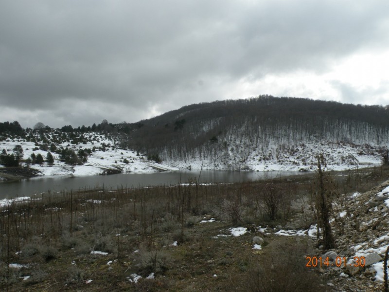 DSCN9345v.jpg