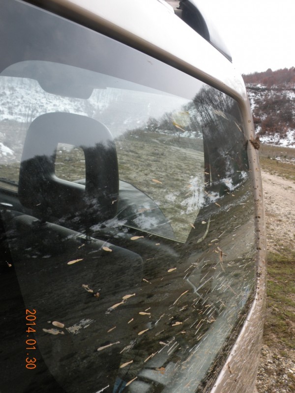 DSCN9348v.jpg