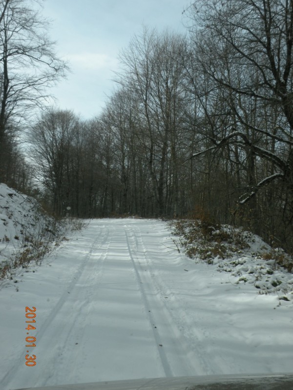 DSCN9354v.jpg