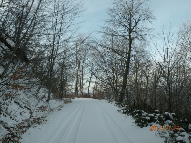 DSCN9356v.jpg