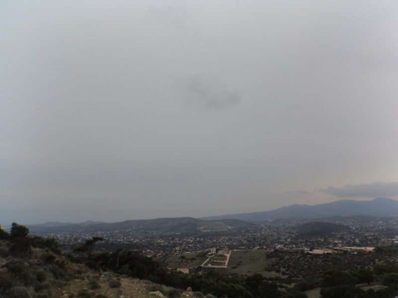 DSC00091.jpg