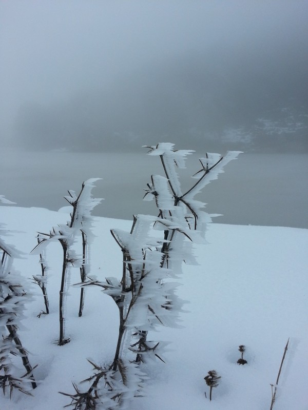 20140201_153230.jpg