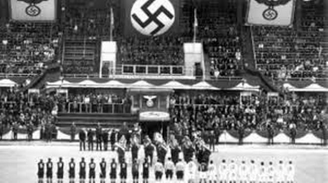 zintelar-3.jpg