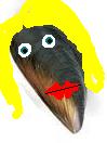 images.jpg