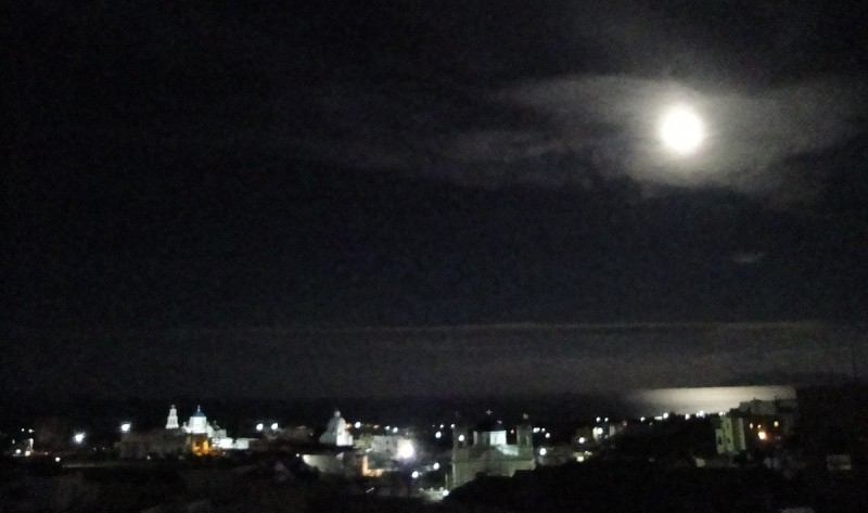 ...winter moon in erotic mood....jpg