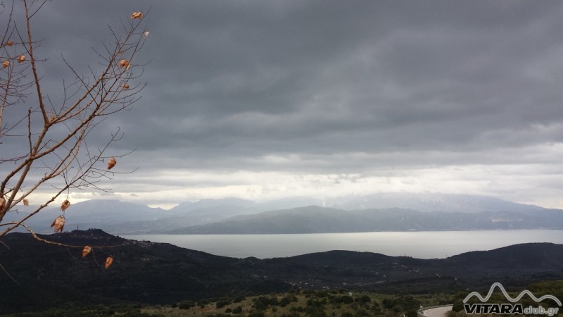 Vitaraclub.gr 1.jpg