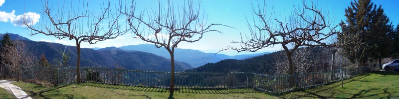 Panorama-1.jpg