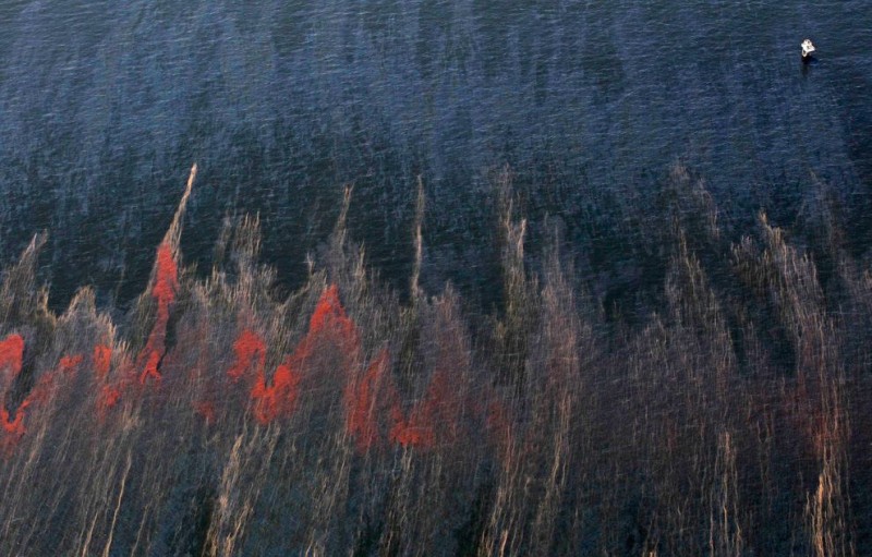 oil disaster 12-qpr.jpg