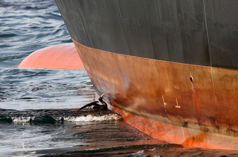 oil disaster 13-qpr.jpg