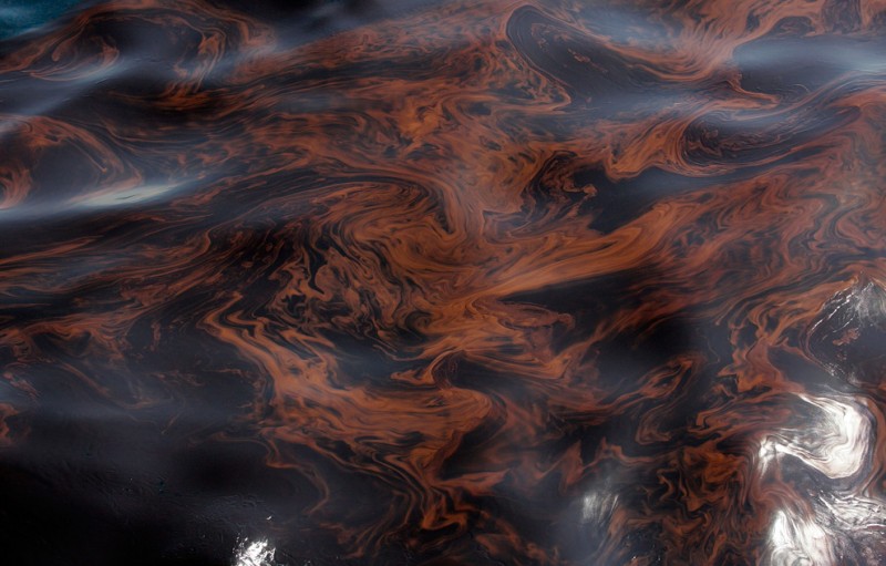 oil disaster 25.jpg