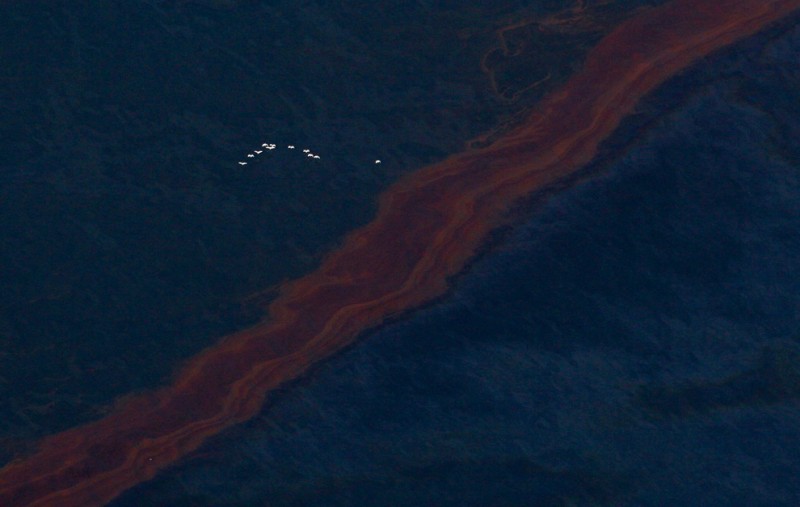 oil disaster 26.jpg