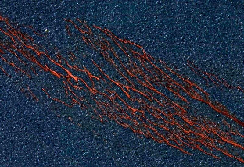 oil disaster 34.jpg