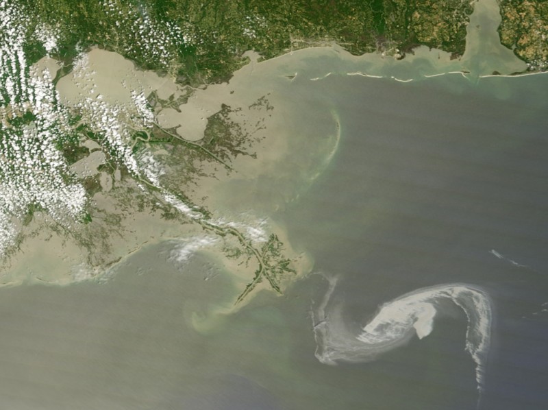 oil disaster 35.jpg