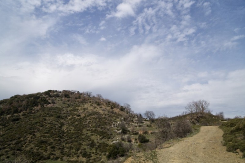 DSC05230.jpg